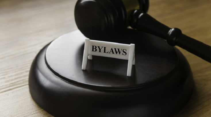 nonprofit bylaws essential components