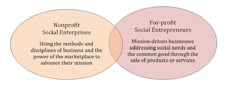 llc social enterprise advantages