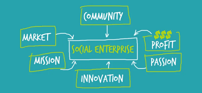 llc social enterprise challenges