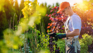 lawn care landscaping legal protection